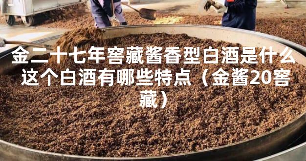 金二十七年窖藏酱香型白酒是什么 这个白酒有哪些特点（金酱20窖藏）